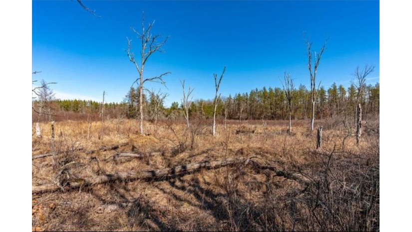 xxxx 20 Acres Tranus Lake Road Springbrook, WI 54875 by Compass Realty Group $97,500