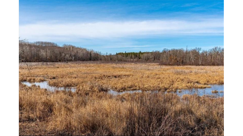 xxxx 20 Acres Tranus Lake Road Springbrook, WI 54875 by Compass Realty Group $97,500