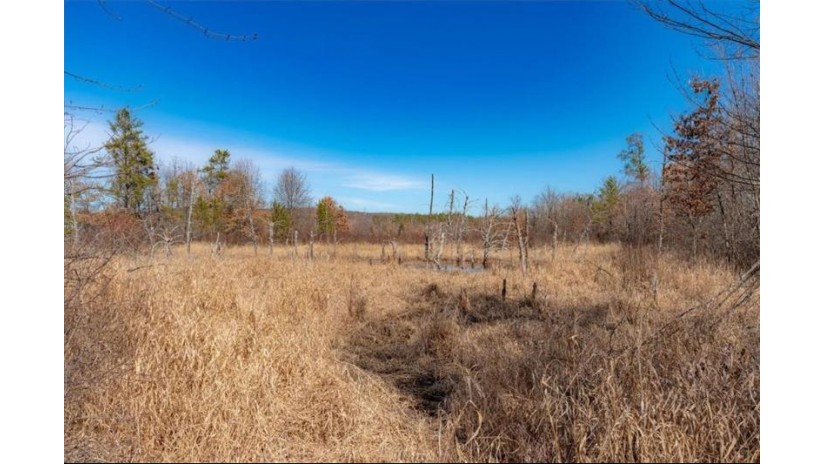 xxxx 20 Acres Tranus Lake Road Springbrook, WI 54875 by Compass Realty Group $97,500