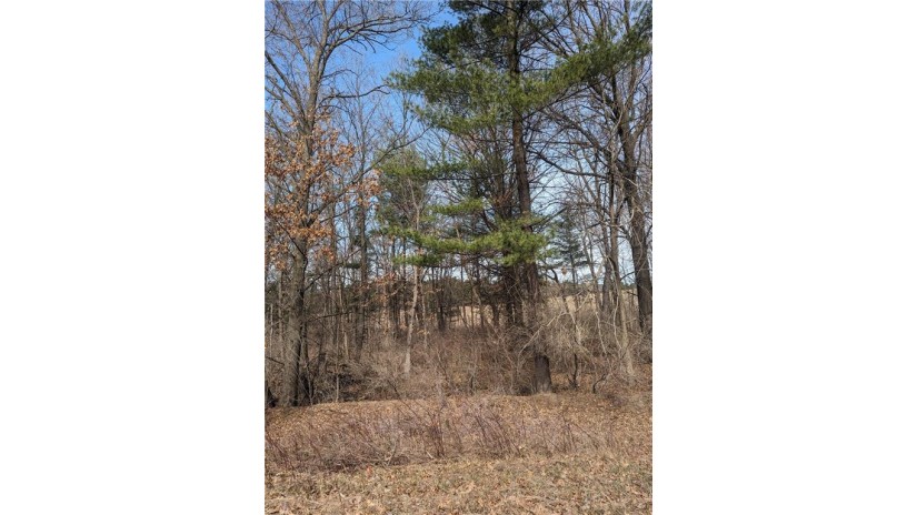 Lot 20 47th Avenue Eau Galle, WI 54736 by Edina Realty, Inc. - Chippewa Valley $31,900