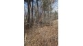Lot 20 47th Avenue Eau Galle, WI 54736 by Edina Realty, Inc. - Chippewa Valley $31,900