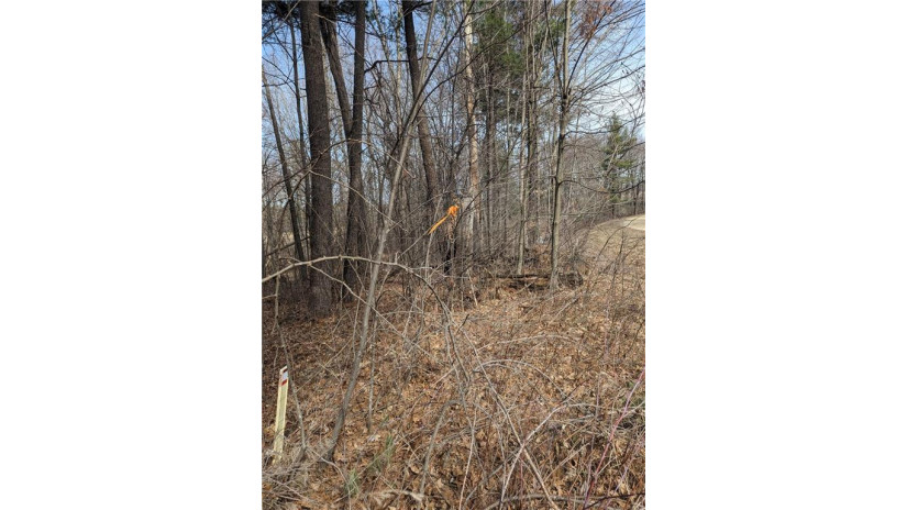 Lot 20 47th Avenue Eau Galle, WI 54736 by Edina Realty, Inc. - Chippewa Valley $31,900