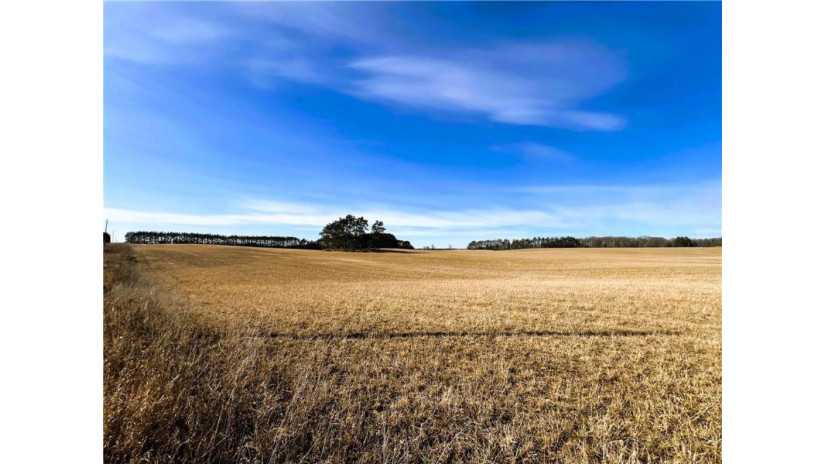 80 Acres On Thornapple Road Ladysmith, WI 54848 by Cb Northern Escape/Ladysmith $289,900