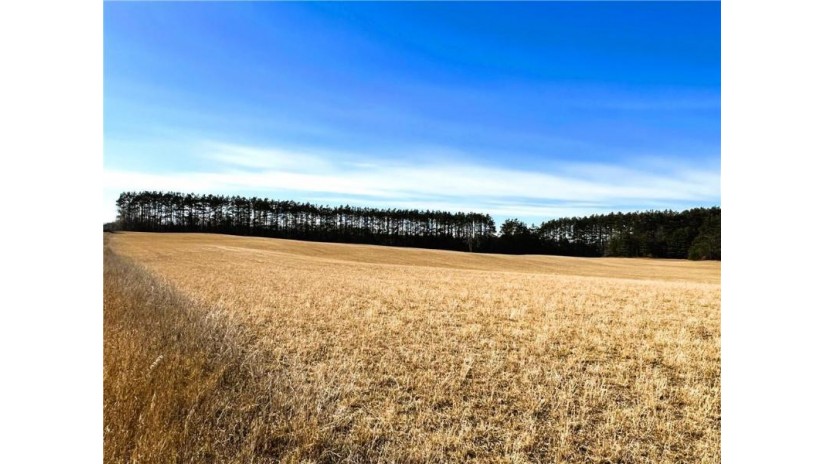 80 Acres On Thornapple Road Ladysmith, WI 54848 by Cb Northern Escape/Ladysmith $289,900