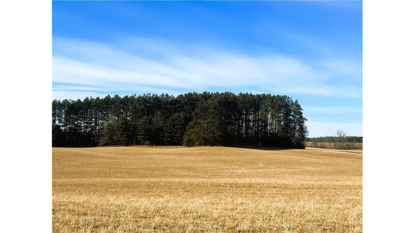 80 Acres On Thornapple Road Ladysmith, WI 54848 by Cb Northern Escape/Ladysmith $289,900