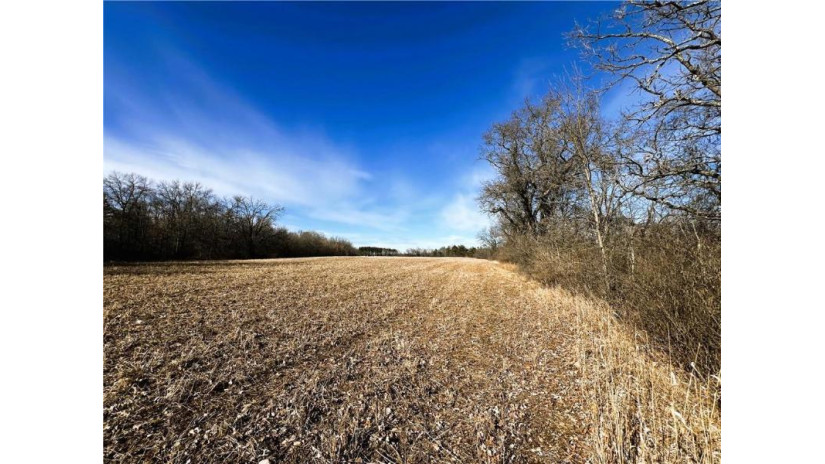 80 Acres On Thornapple Road Ladysmith, WI 54848 by Cb Northern Escape/Ladysmith $289,900