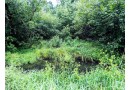 Lot 2 County Rd V, Ridgeland, WI 54763 by Woods & Water Realty Inc, Blue Diamond $78,900