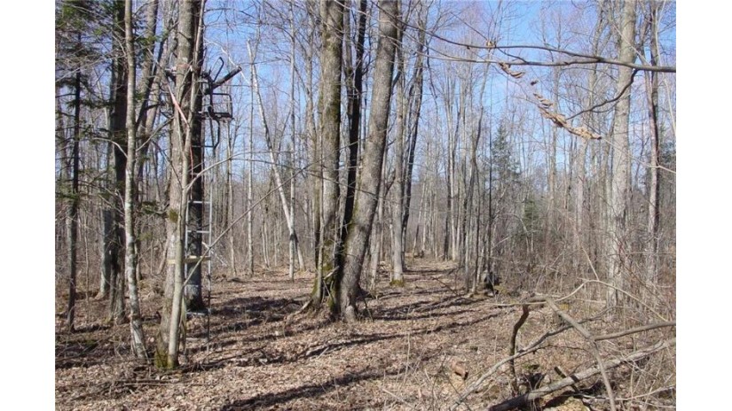 6  Acres on Snafu Road Conrath, WI 54731 by Cb Northern Escape/Ladysmith $35,000