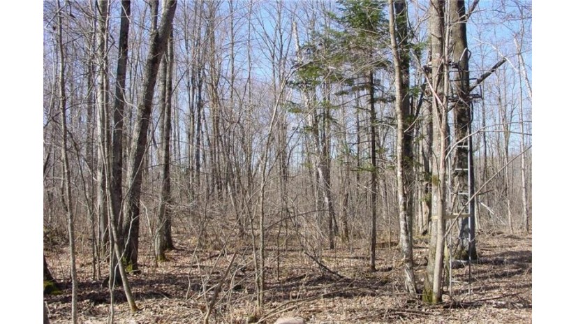 6  Acres on Snafu Road Conrath, WI 54731 by Cb Northern Escape/Ladysmith $35,000