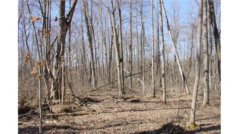 6  Acres on Snafu Road Conrath, WI 54731 by Cb Northern Escape/Ladysmith $35,000