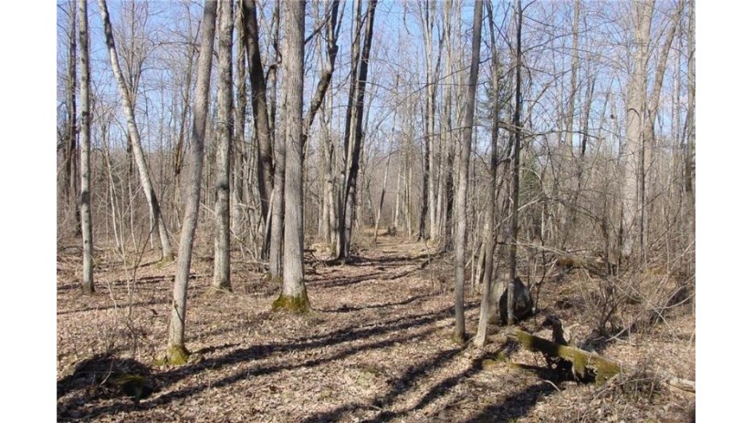 6  Acres on Snafu Road Conrath, WI 54731 by Cb Northern Escape/Ladysmith $35,000