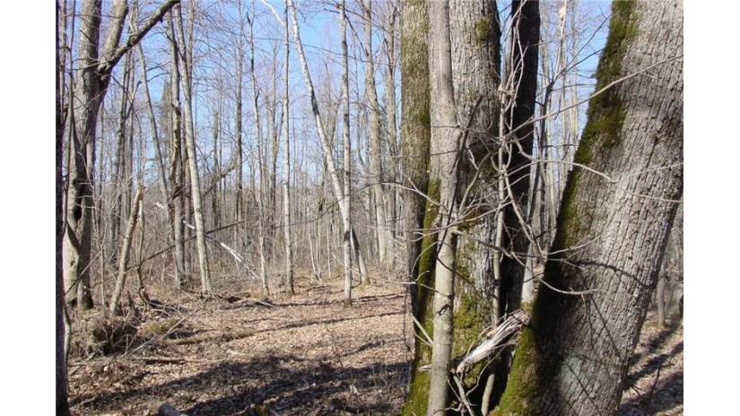 6  Acres on Snafu Road Conrath, WI 54731 by Cb Northern Escape/Ladysmith $35,000