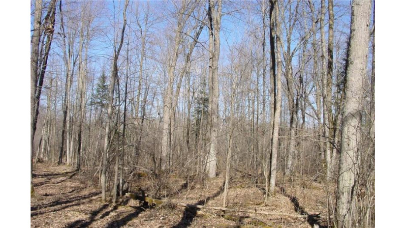 6  Acres on Snafu Road Conrath, WI 54731 by Cb Northern Escape/Ladysmith $35,000