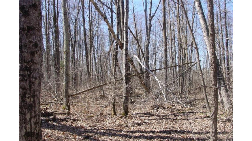 6  Acres on Snafu Road Conrath, WI 54731 by Cb Northern Escape/Ladysmith $35,000