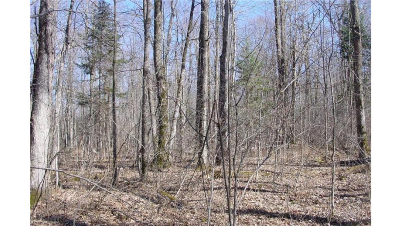 6  Acres on Snafu Road Conrath, WI 54731 by Cb Northern Escape/Ladysmith $35,000