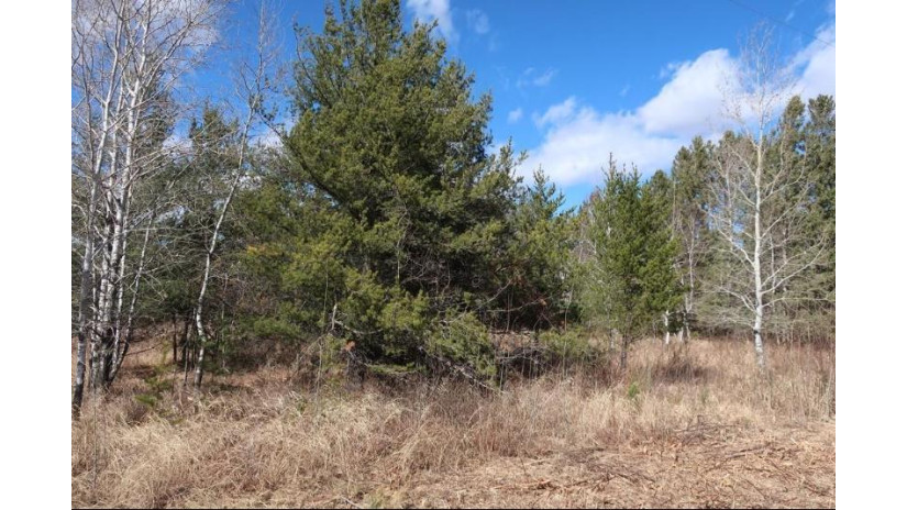 XXX County Road D Grantsburg, WI 54840 by C21 Sand County Services Inc $75,000