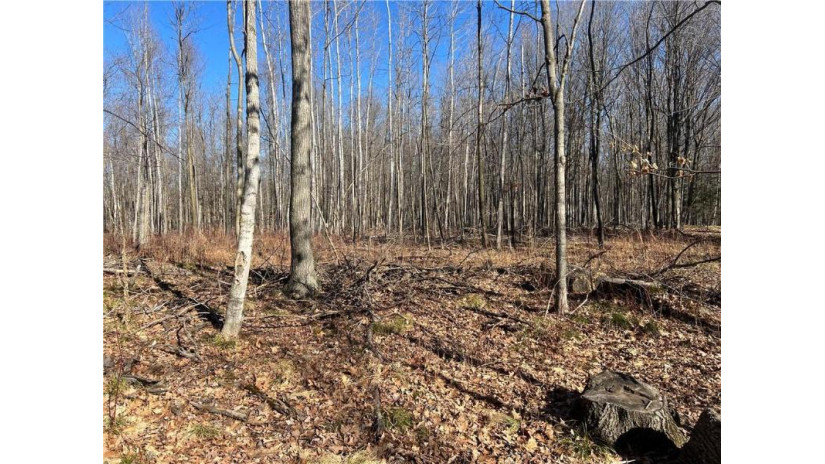 19.11 Acres Falstad Road Eland, WI 54427 by Landguys, Llc Of Wisconsin $140,000