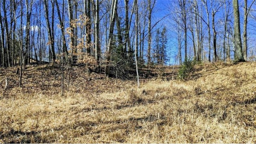 00 Deerhead Point Road Chetek, WI 54728 by Woods & Water Realty Inc, Blue Diamond $131,900