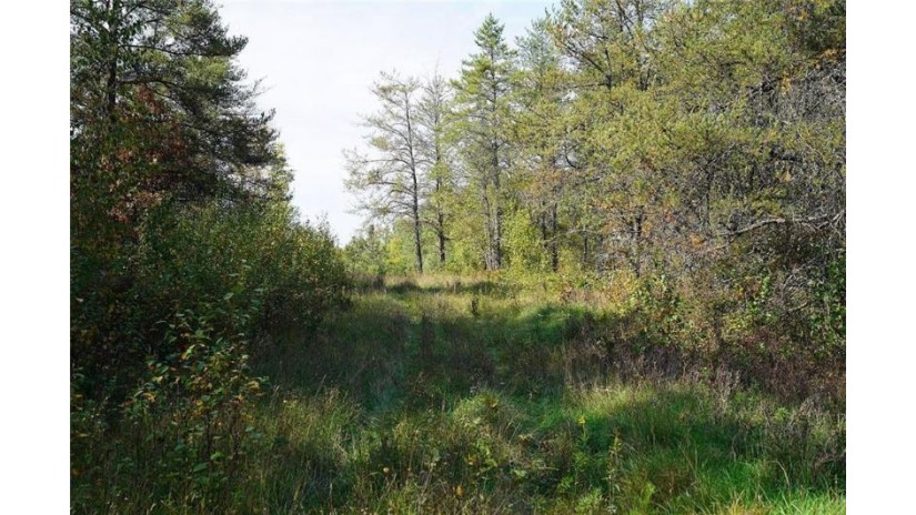 0 County Hwy K Trego, WI 54888 by Whitetail Properties Real Estate $360,000