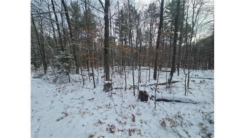 LOT 0 County Hwy E Springbrook, WI 54875 by Route 63 Realty Llc $89,900