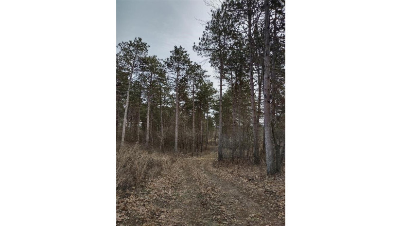 XXX Haldeman Drive Black River Falls, WI 54615 by Timber Ghost Realty Llc $164,500