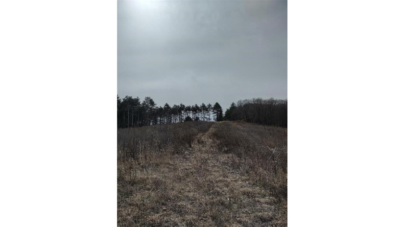 XXX Haldeman Drive Black River Falls, WI 54615 by Timber Ghost Realty Llc $164,500