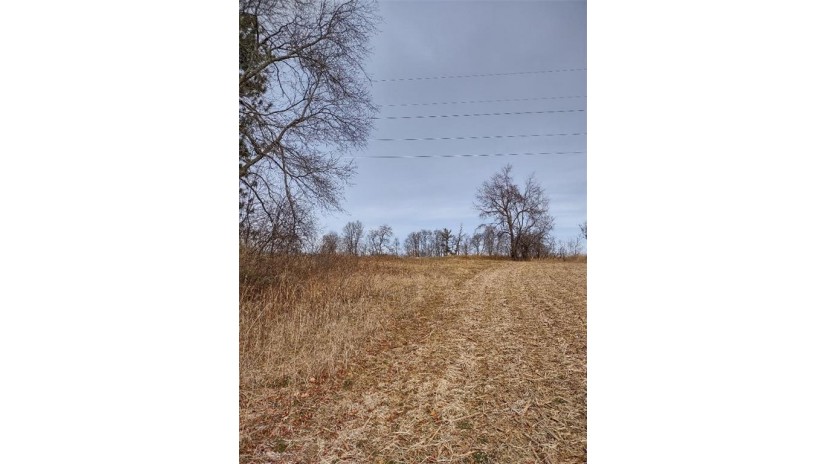 XXX Haldeman Drive Black River Falls, WI 54615 by Timber Ghost Realty Llc $164,500