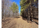 20 Acres(West 20) Todd Road, Granton, WI 54436 by Landguys, Llc Of Wisconsin $109,000