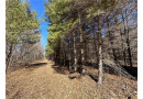 20 Acres(West 20) Todd Road, Granton, WI 54436 by Landguys, Llc Of Wisconsin $109,000