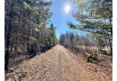 20 Acres(West 20) Todd Road, Granton, WI 54436 by Landguys, Llc Of Wisconsin $109,000