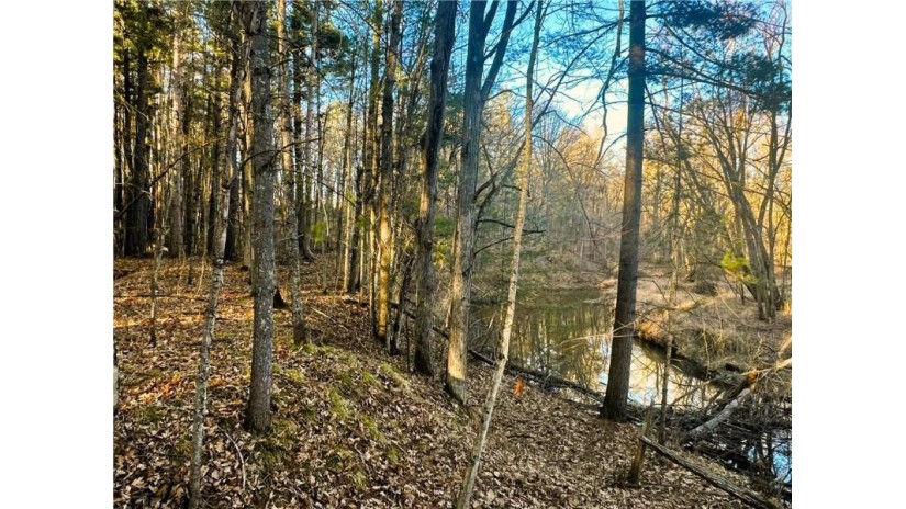 37.5 Acres On Thornapple Road Ladysmith, WI 54848 by Cb Northern Escape/Ladysmith $179,900