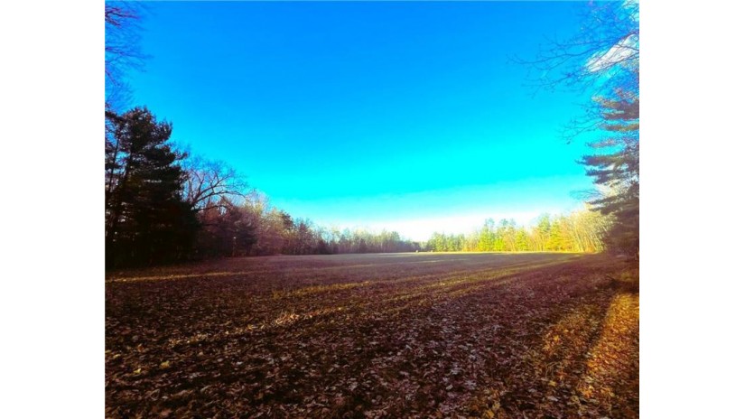 37.5 Acres On Thornapple Road Ladysmith, WI 54848 by Cb Northern Escape/Ladysmith $179,900