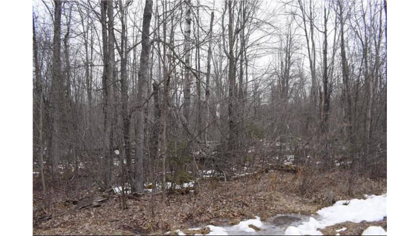 W8838 Timber Trail Ladysmith, WI 54848 by Brenner Realty, Llc $49,900