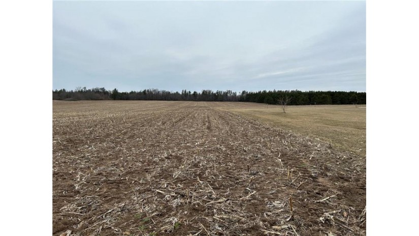 22 Acres 210th Street Cadott, WI 54727 by Team Tiry Real Estate, Llc $224,900