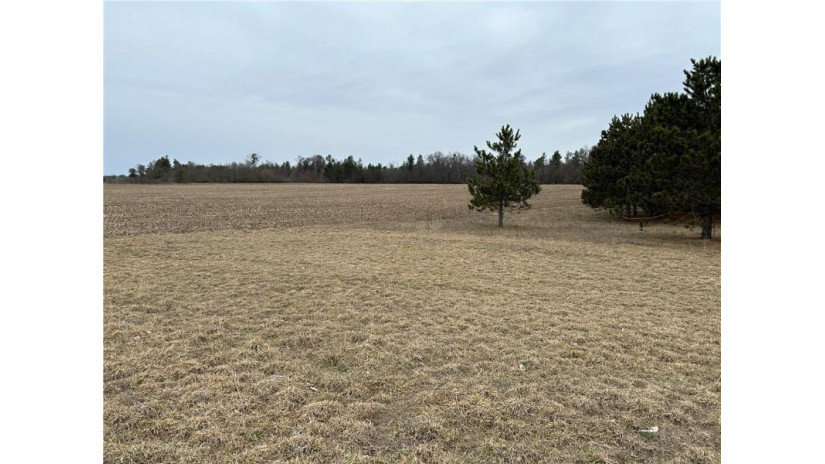 22 Acres 210th Street Cadott, WI 54727 by Team Tiry Real Estate, Llc $224,900