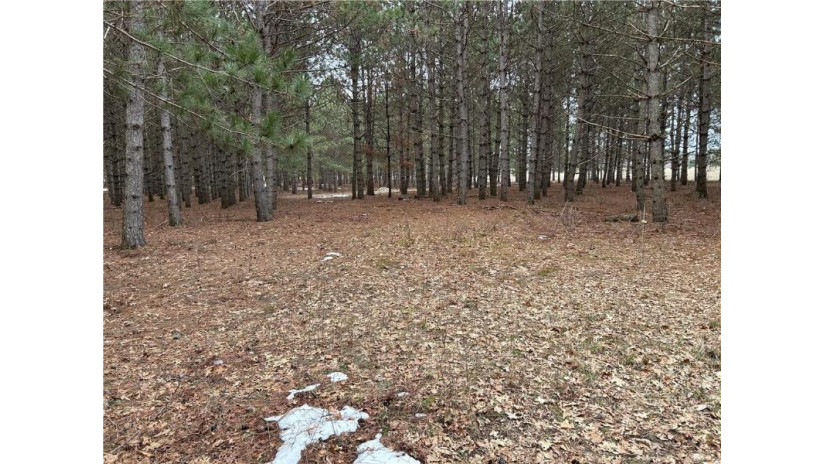 22 Acres 210th Street Cadott, WI 54727 by Team Tiry Real Estate, Llc $224,900