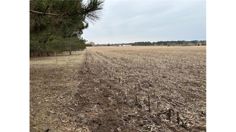 22 Acres 210th Street Cadott, WI 54727 by Team Tiry Real Estate, Llc $224,900