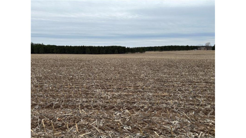 22 Acres 210th Street Cadott, WI 54727 by Team Tiry Real Estate, Llc $224,900