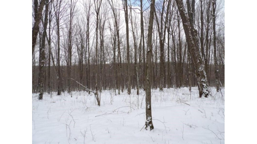 On Tower Rd Road Winter, WI 54896 by Birchland Realty Inc./Phillips $25,000