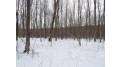 On Tower Rd Road Winter, WI 54896 by Birchland Realty Inc./Phillips $25,000