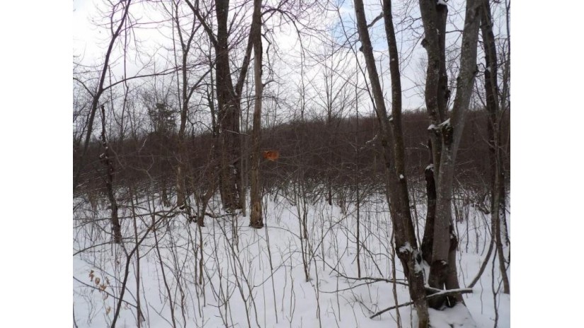 On Tower Rd Road Winter, WI 54896 by Birchland Realty Inc./Phillips $25,000