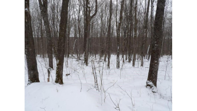 On Tower Rd Road Winter, WI 54896 by Birchland Realty Inc./Phillips $25,000