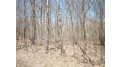 LOTS #99 & #100 Woods (spruce) Avenue Birchwood, WI 54817 by Dane Arthur Real Estate Agency/Birchwood $43,000
