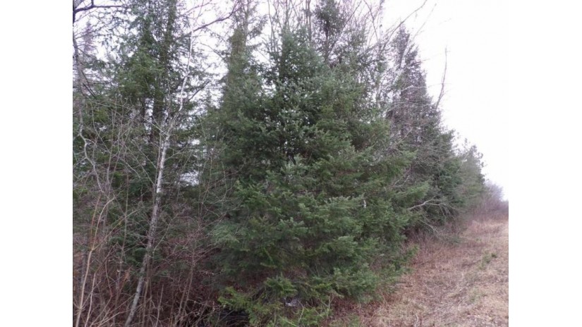 40 Acres Off Knapp Rd Winter, WI 54896 by Birchland Realty Inc./Phillips $69,900