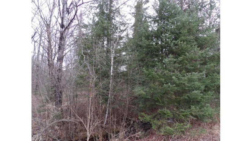 40 Acres Off Knapp Rd Winter, WI 54896 by Birchland Realty Inc./Phillips $69,900