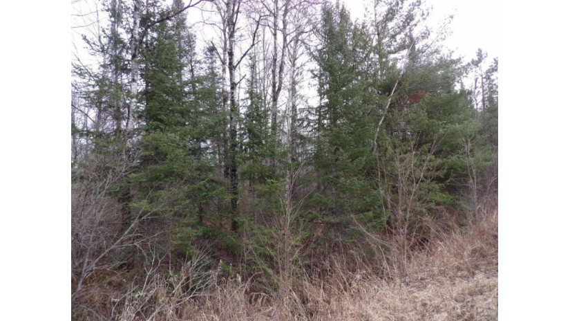 40 Acres Off Knapp Rd Winter, WI 54896 by Birchland Realty Inc./Phillips $69,900