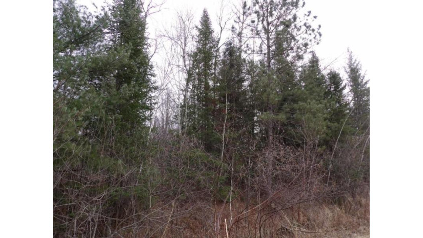 40 Acres Off Knapp Rd Winter, WI 54896 by Birchland Realty Inc./Phillips $69,900