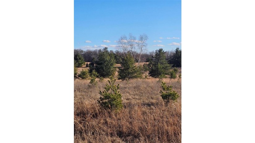 HWY A Oaks Of Rocky Ridge Lot 17 Spooner, WI 54801 by Coldwell Banker Realty Spooner $35,000