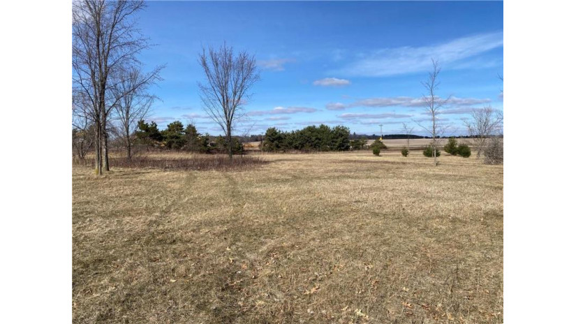 Lot 1 934th Street Mondovi, WI 54755 by Edina Realty, Inc. - Chippewa Valley $45,000