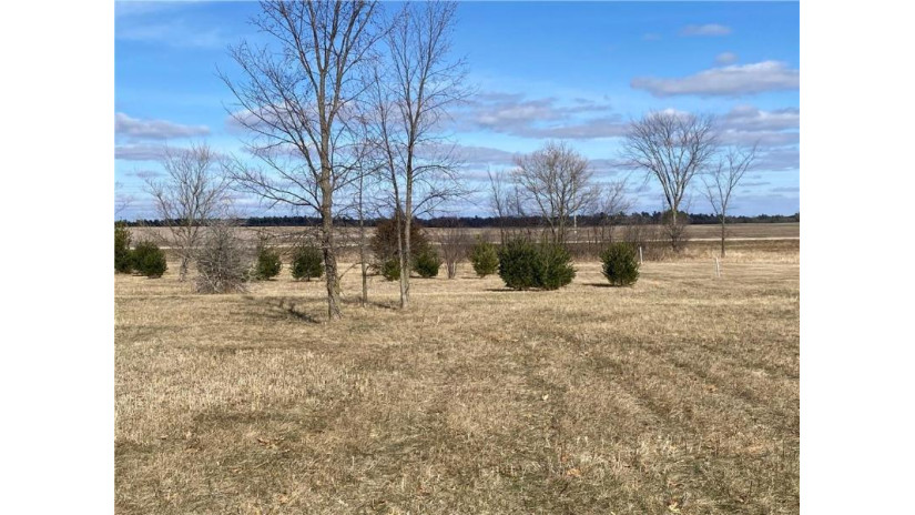 Lot 1 934th Street Mondovi, WI 54755 by Edina Realty, Inc. - Chippewa Valley $45,000